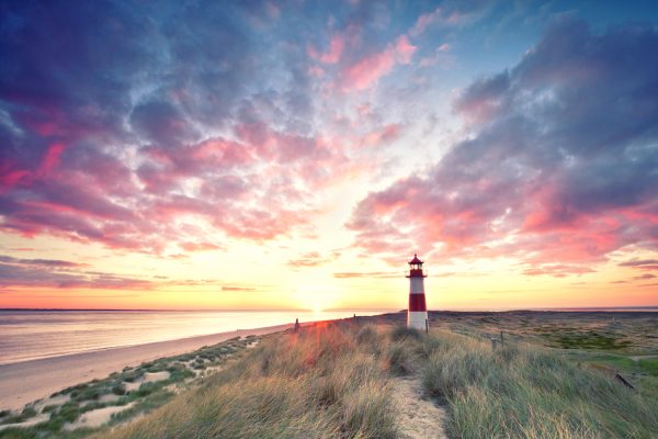 Fyrtårn i flot solnedgang, himlen i lysegule og lyserøde farver, forkanten med ved stranden med græsser